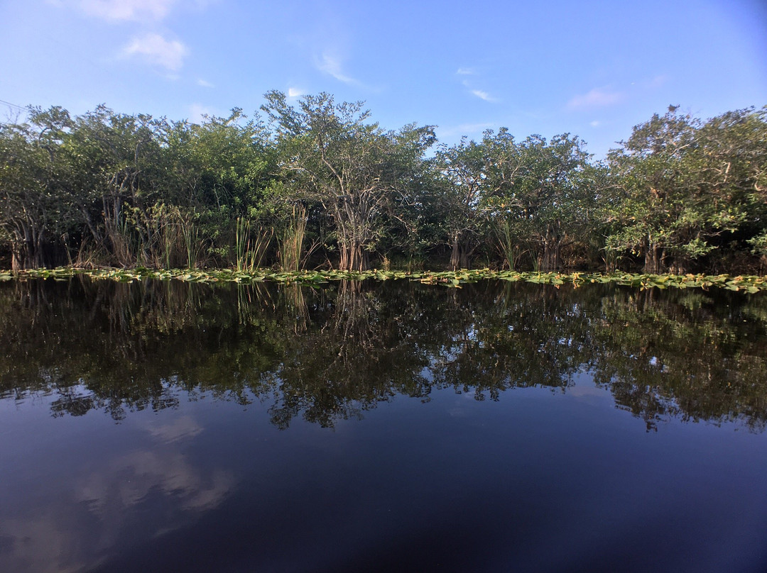 Alligator Tours-哈伦代尔海滩必去景点