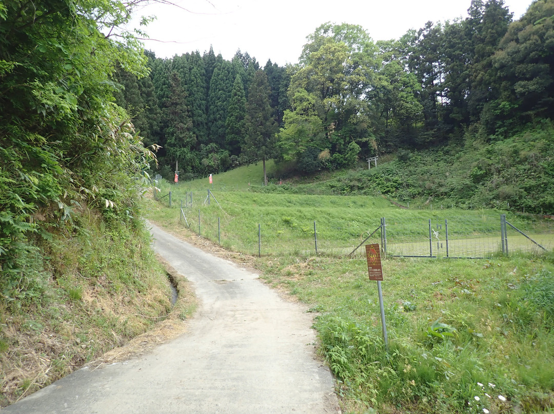 Yaguchi Shrine景点图片