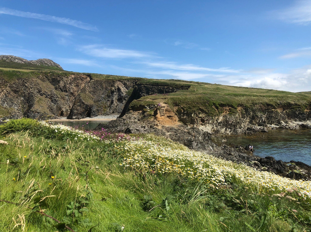 Wales Coastal Path景点图片