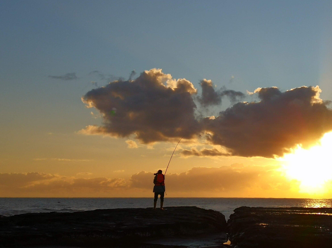 Coogee Beachouse Bed and Breakfast