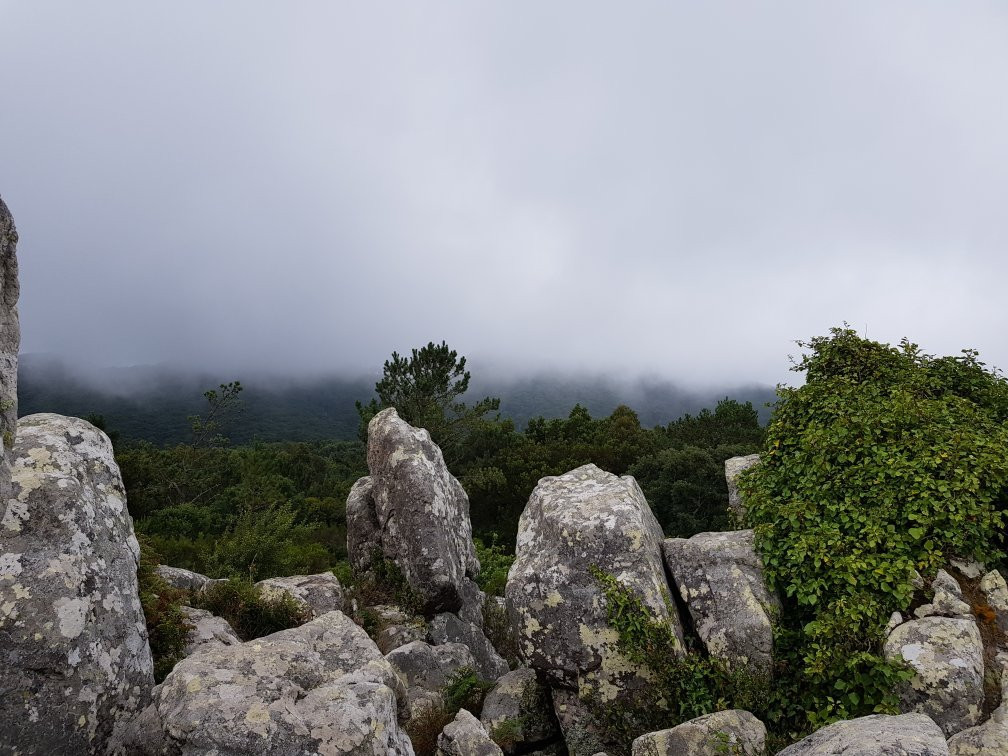 Penedo de Adrenunes景点图片