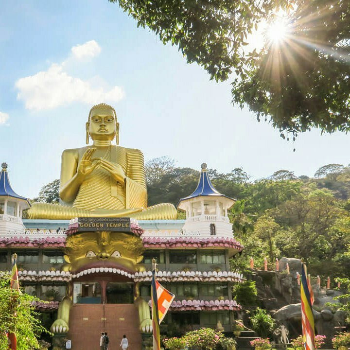 Tony Boat trips-Waikkal必去景点