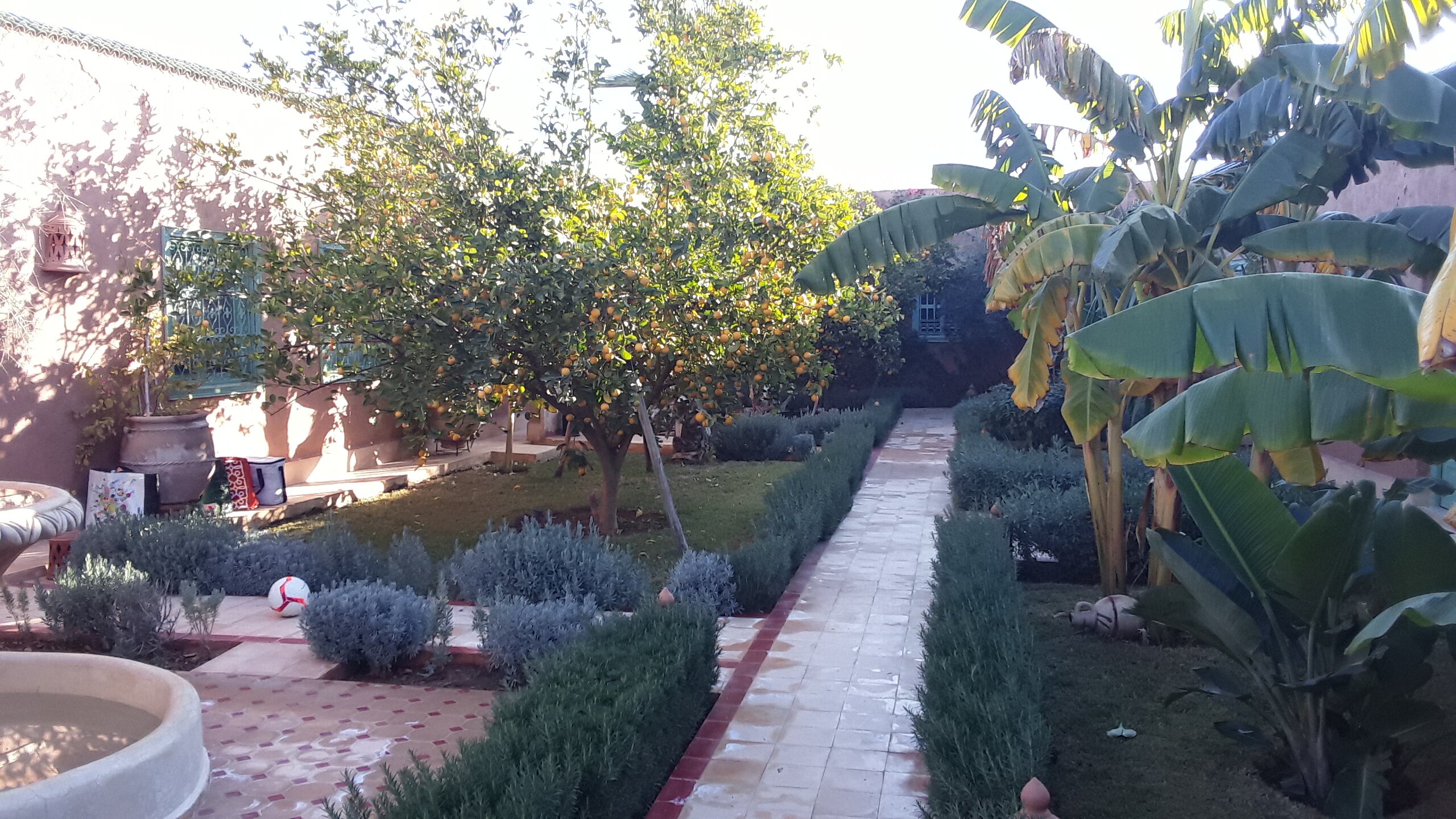 Riad Les Deux Citronniers Chambres D'Hotes, Garden & Spa-浴室