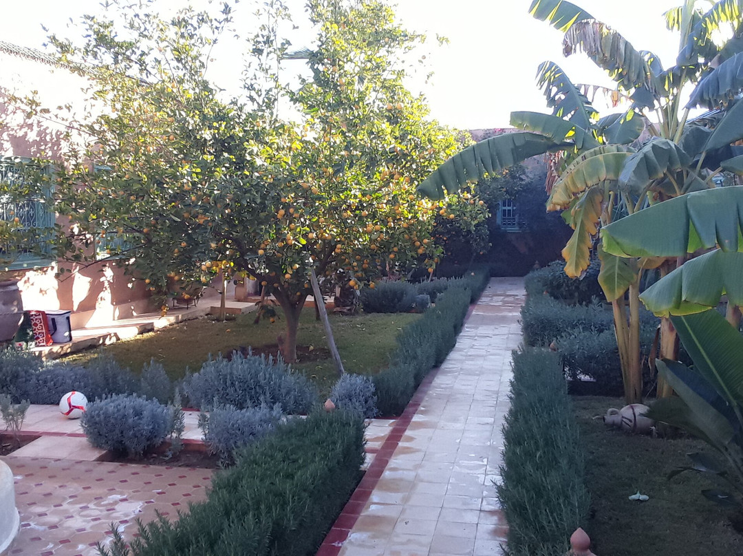 Lagouassem酒店住宿-Riad Les Deux Citronniers Chambres D'Hotes, Garden & Spa