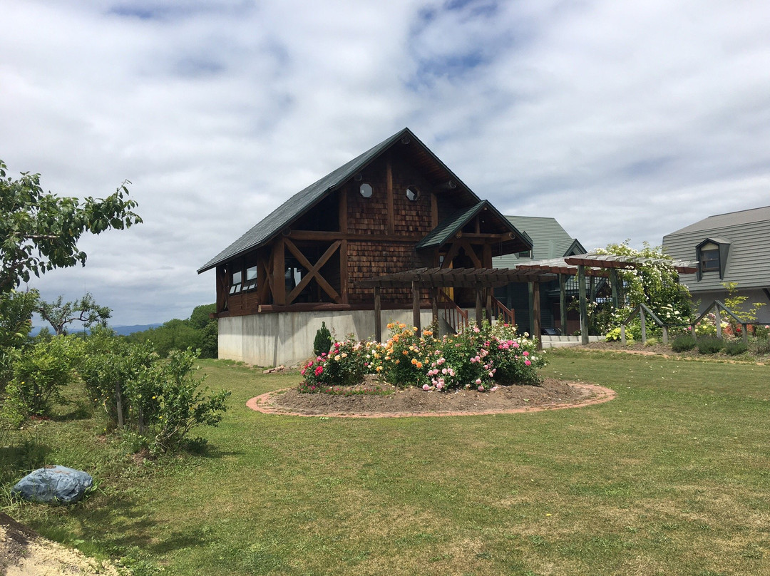 Yamazaki Winery-三笠市必去景点