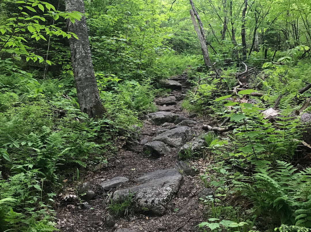 Cobble Hill-普莱西德湖必去景点