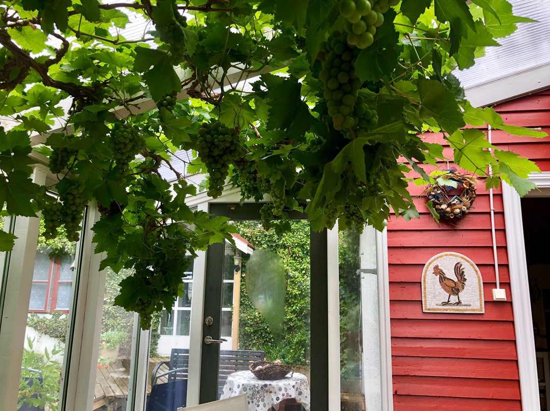 Arbakki Farmhouse Lodge主图