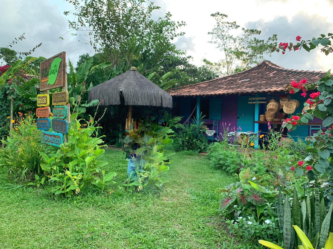 Folha Santa - Produtos Naturais-巴西利亚必去景点