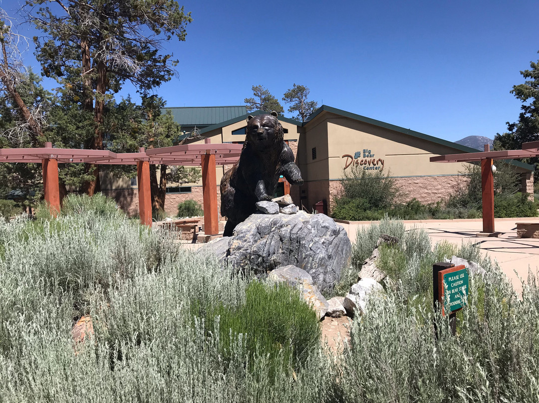 Big Bear Discovery Center-大熊湖必去景点