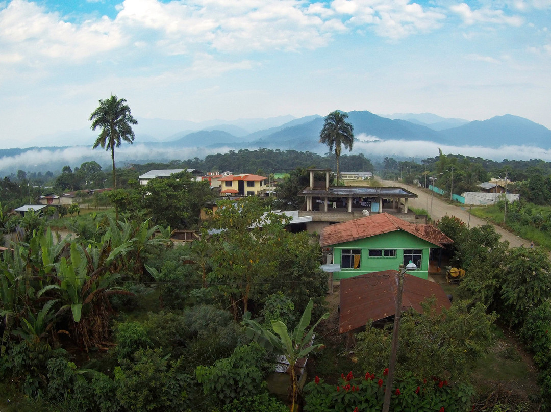 Hotel Palmar del Rio Premium主图