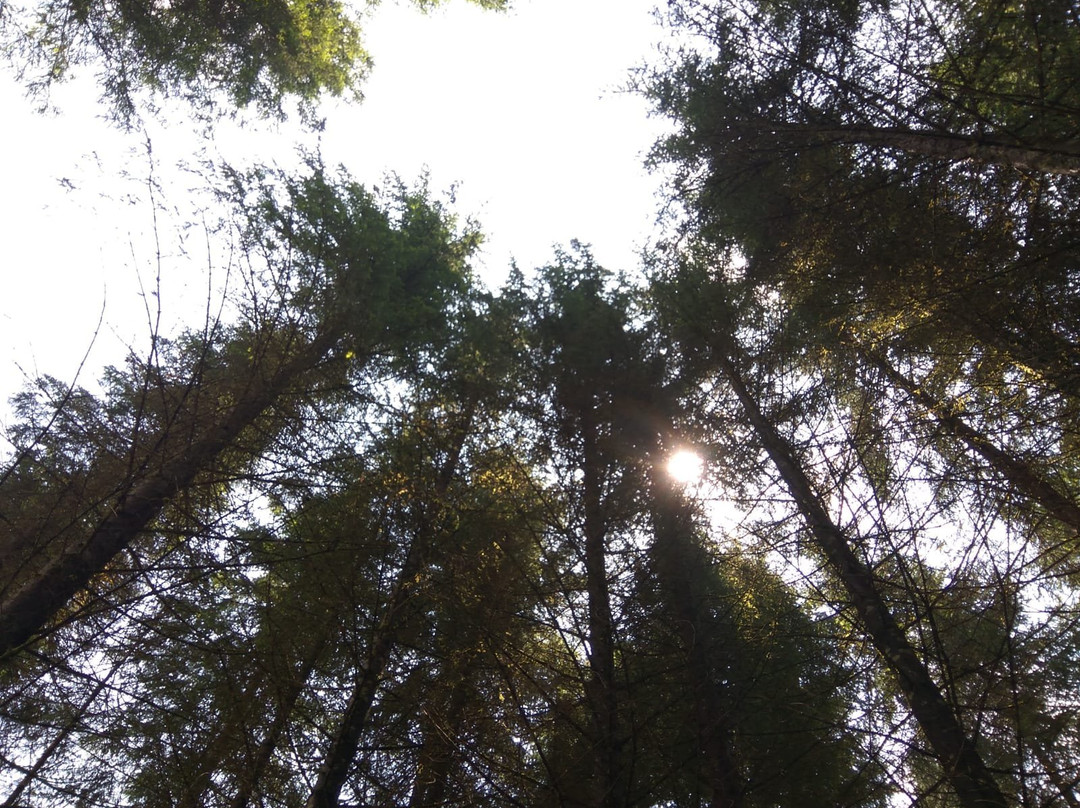 Val di Nos景点图片