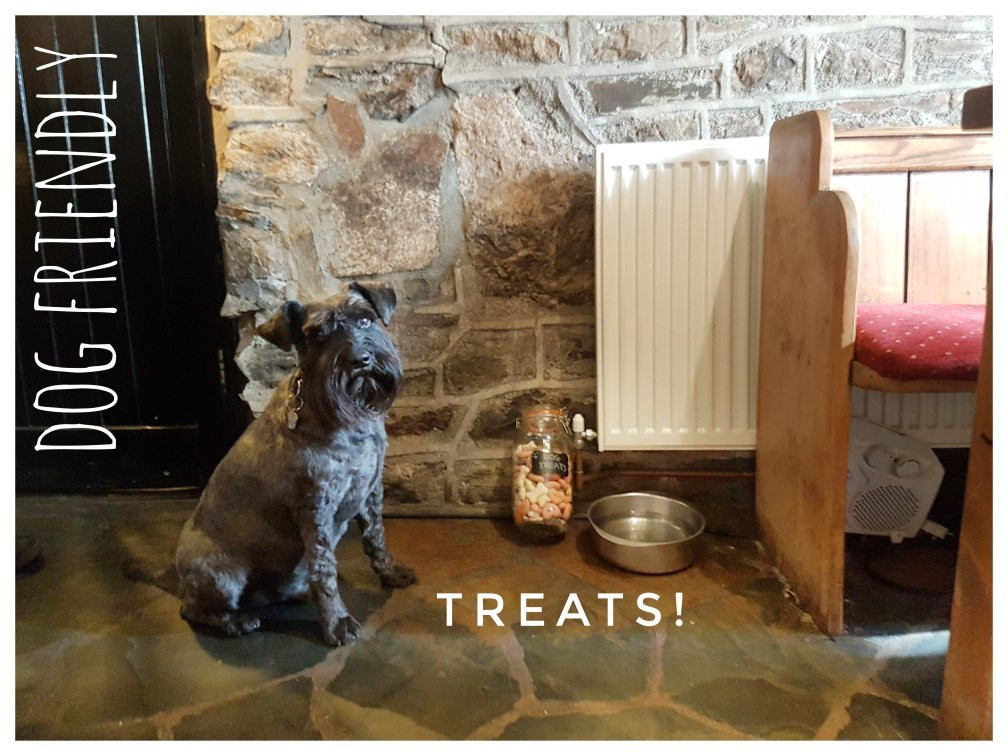 Bearslake Inn-Okehampton必去景点