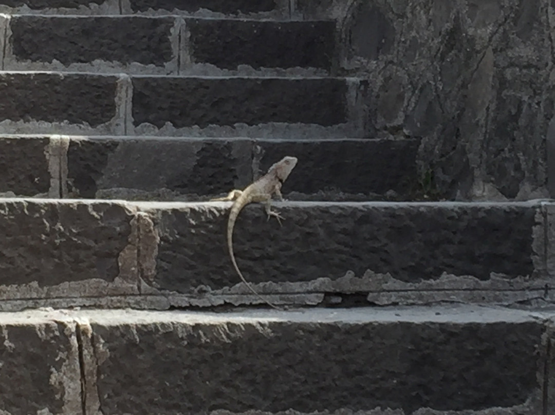 Aji Dam Garden-杰拉果德必去景点