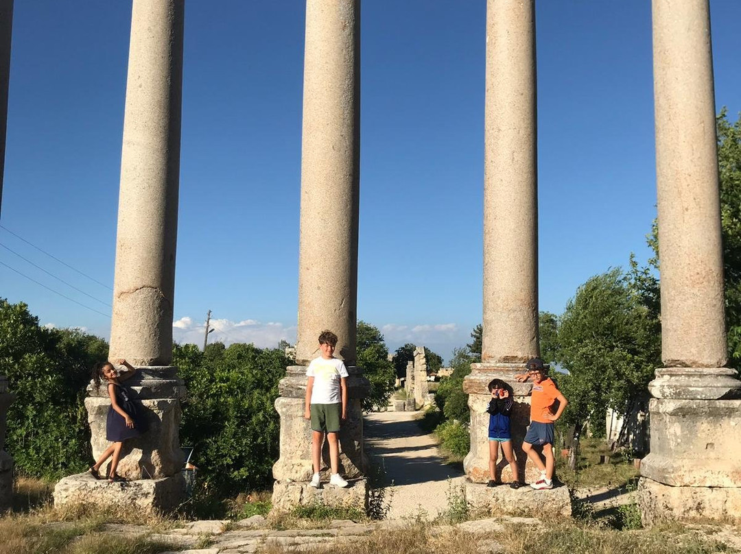 Ancient city of Diocaesarea-Olba景点图片