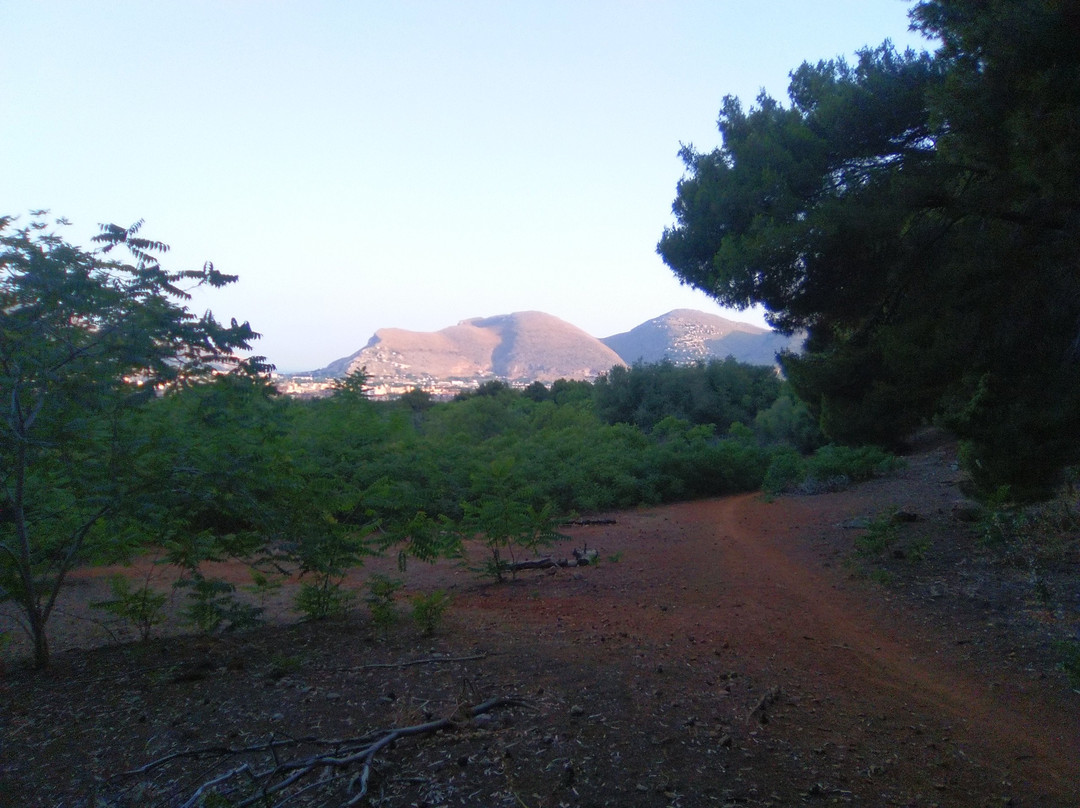 Parco della Favorita-巴勒莫必去景点