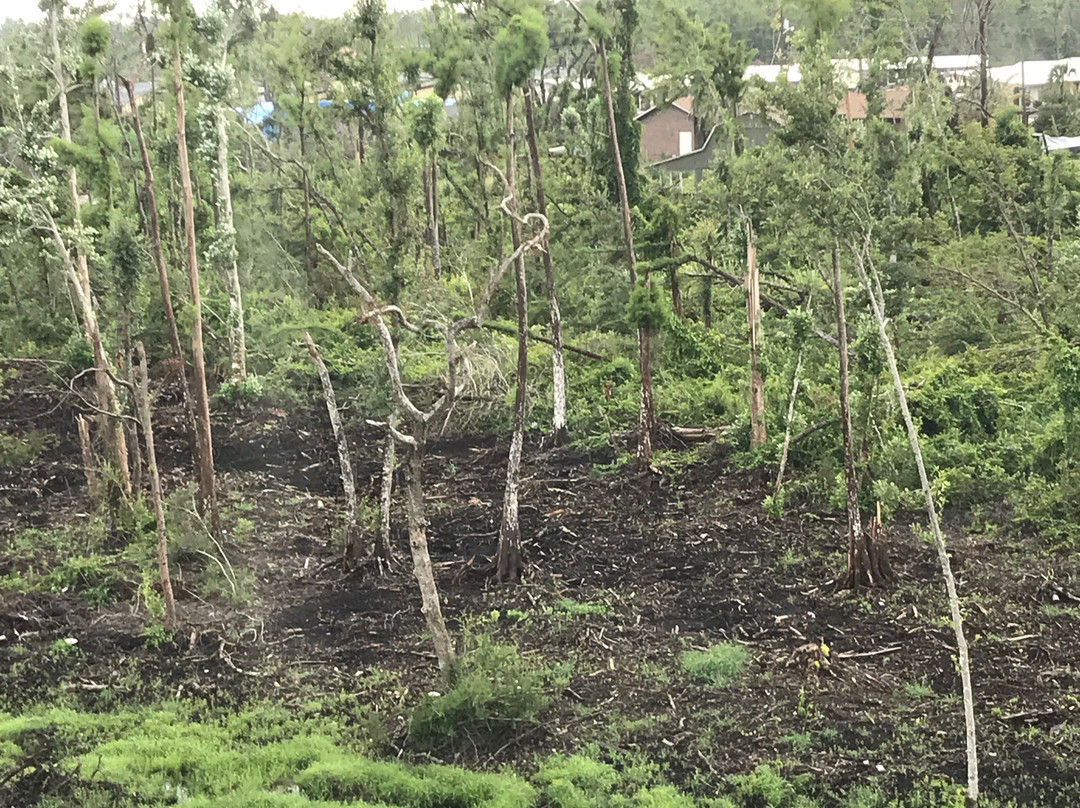 Holiday Inn Panama City By IHG主图