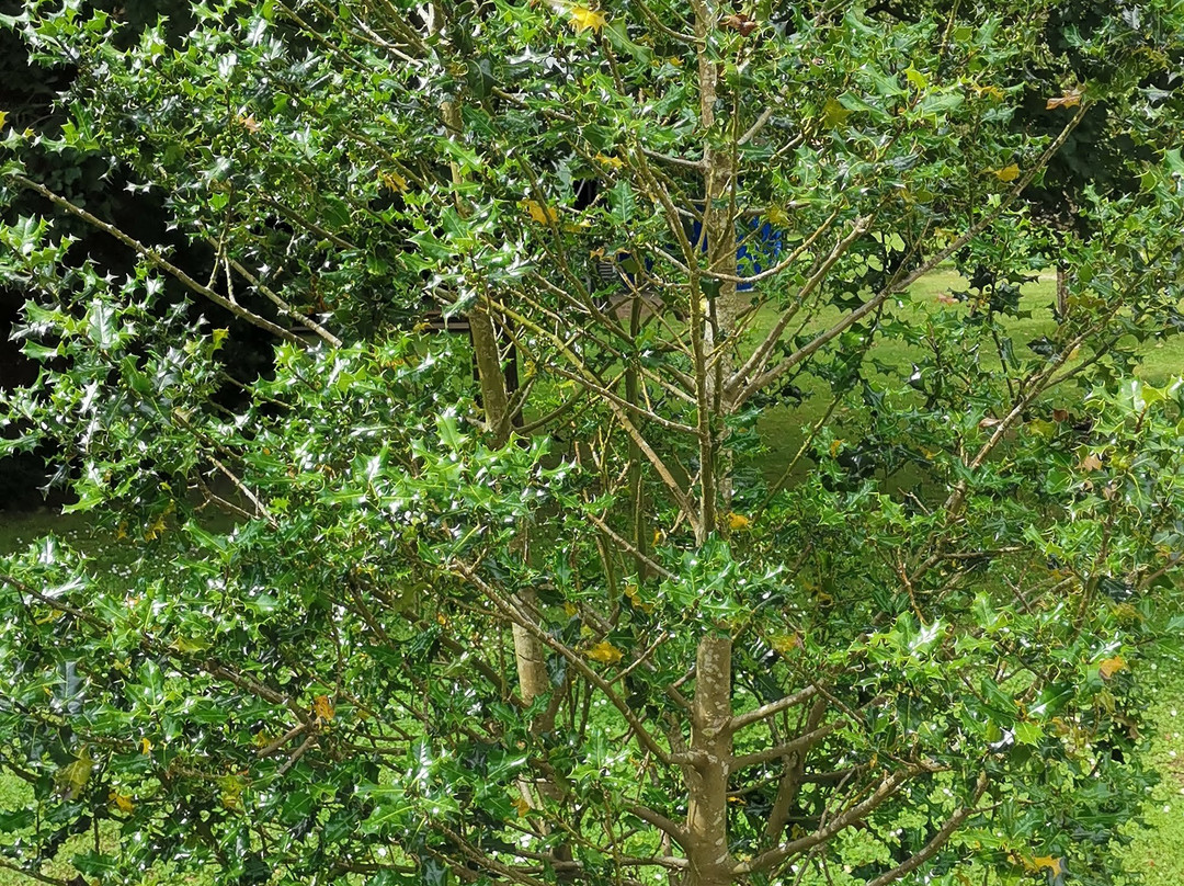 Parque De San Diego-Cabezon de la Sal必去景点