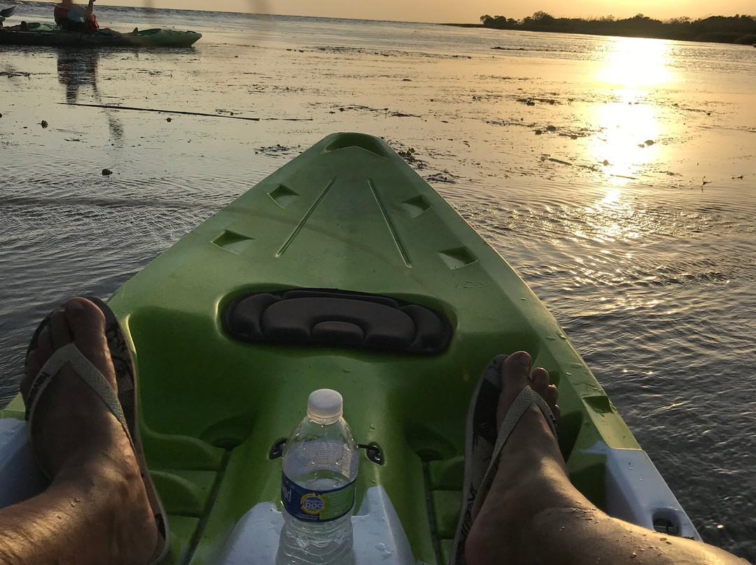 Bayou Adventure景点图片