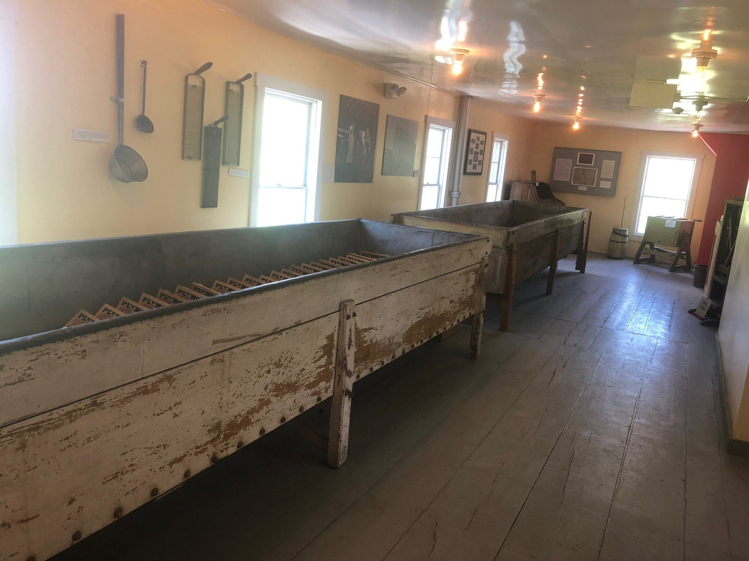 Plymouth Artisan Cheese-Plymouth必去景点