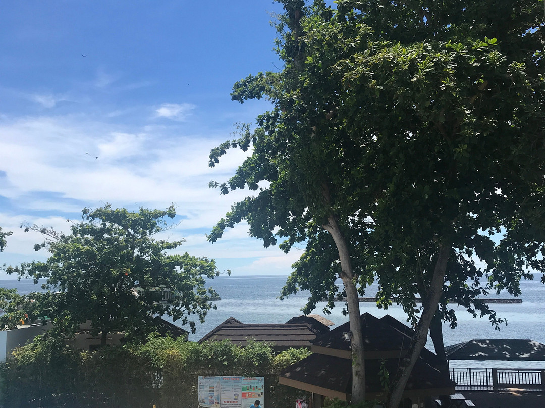 Costa del Sol Resort Hotel主图