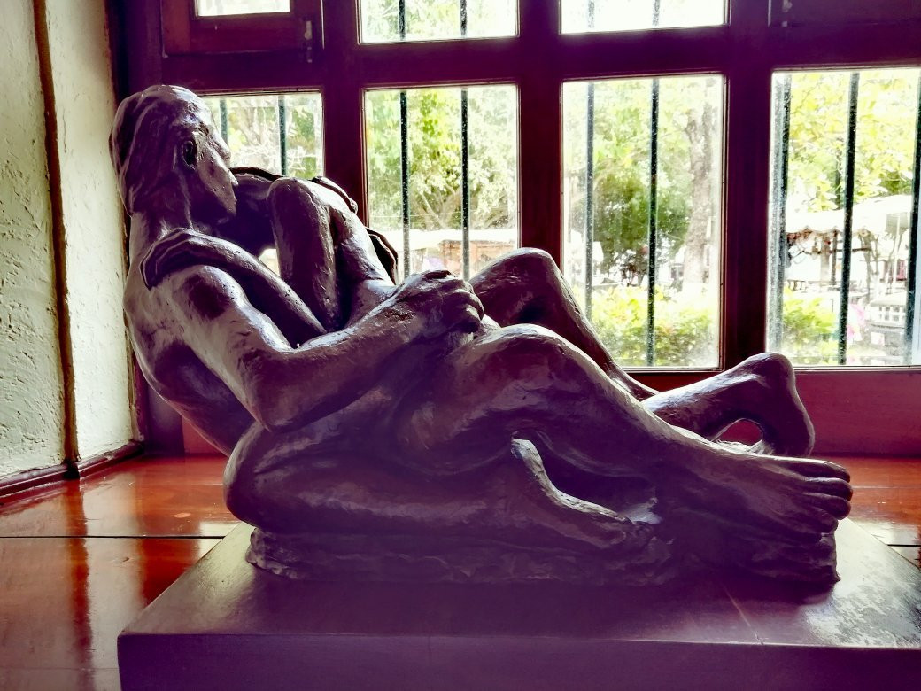 Hotel Hacienda Flamingos主图