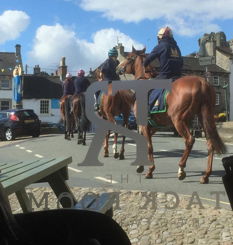 The Wensleydale Hotel主图