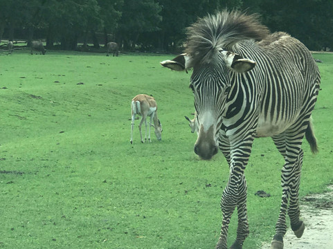 2023年12月The Lazy 5 Ranch景点攻略-The Lazy 5 Ranch门票预订|地址|图片-The Lazy 5 ...