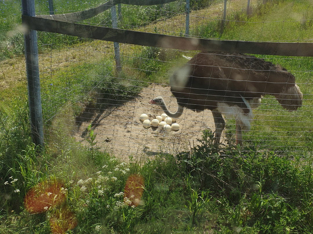 Vipperow旅游攻略图片