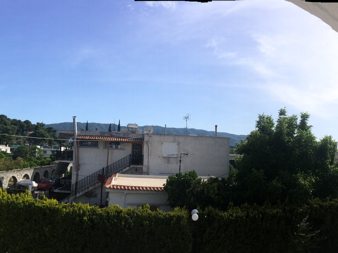 Magdas Kamares主图