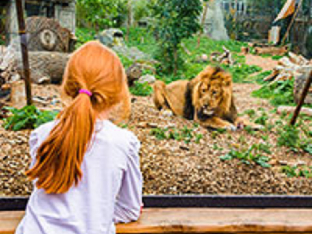 伦敦萨顿假日酒店主图
