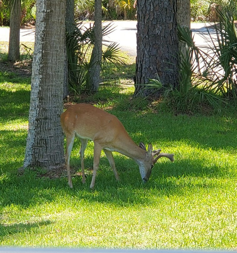 Ocean Point Golf Links-Fripp Island必去景点