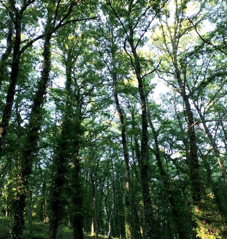 Parco Dei Sette Frati-San Venanzo必去景点