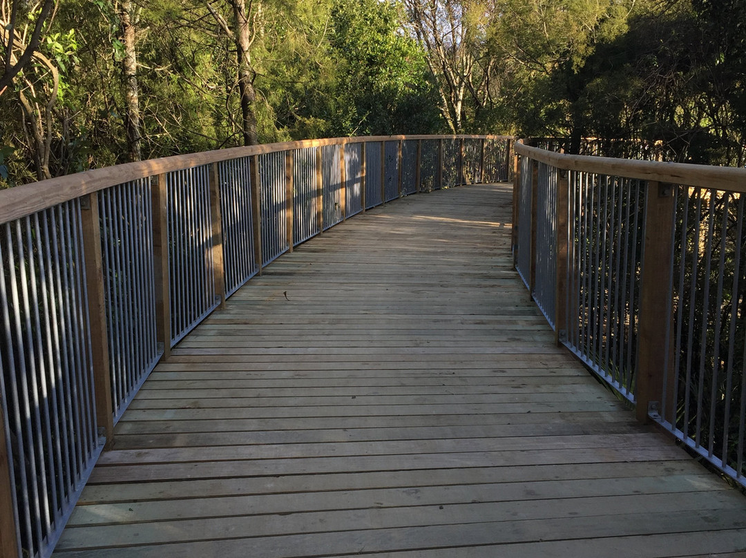 Manawatu River Pathway景点图片