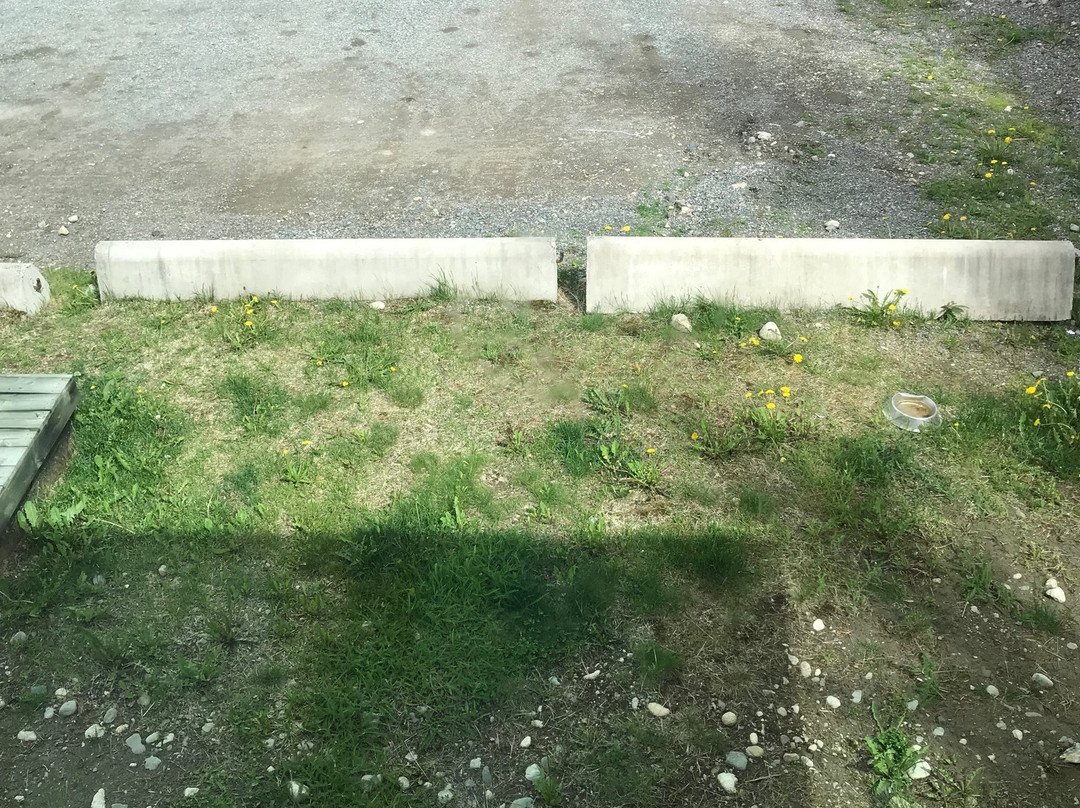 Northway Motor Inn主图