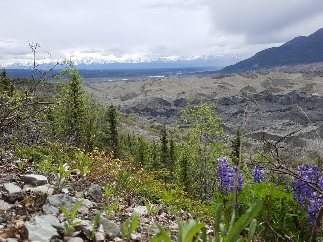 2023年Kennicott旅游攻略 8Kennicott酒店/景点/门票/美食/自助游/自驾/自由行/游玩攻略 Tripadvisor猫途鹰