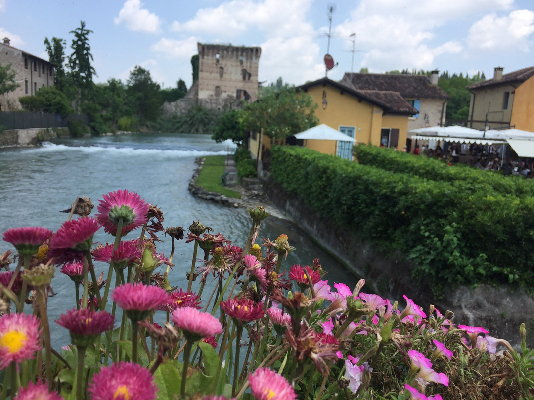 Agriturismo Dondino主图
