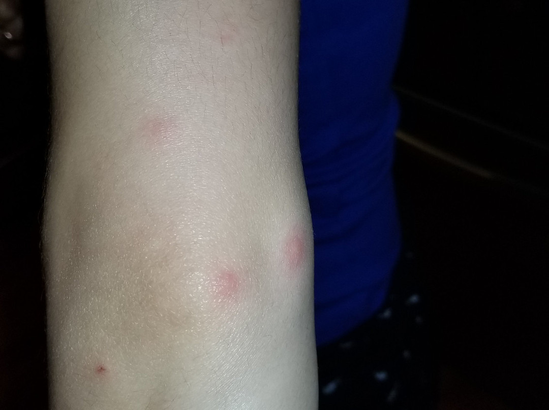 Chelan Resort Suites主图