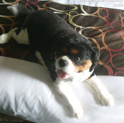 Riverside Casino & Golf Resort主图