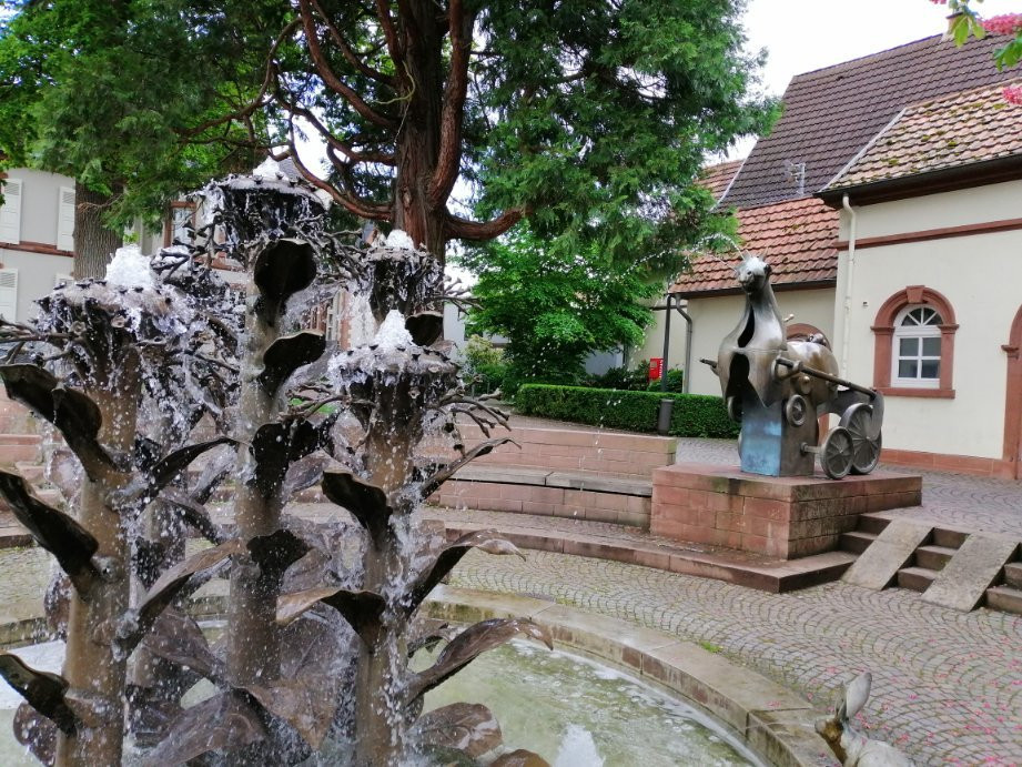 Gästehaus Seither Zur Traube主图