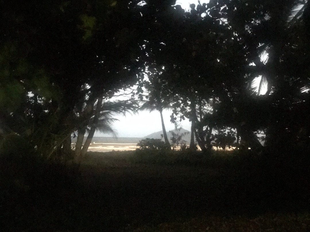 漂流度假村主图