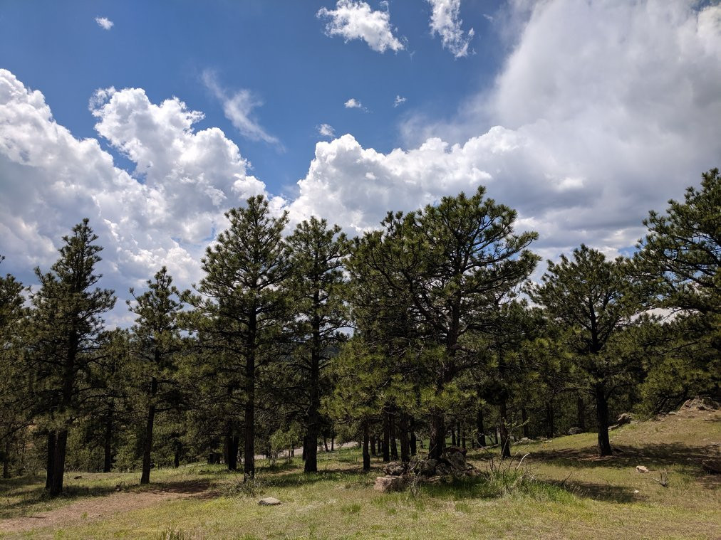 Lookout Mountain Nature Center-戈尔登必去景点