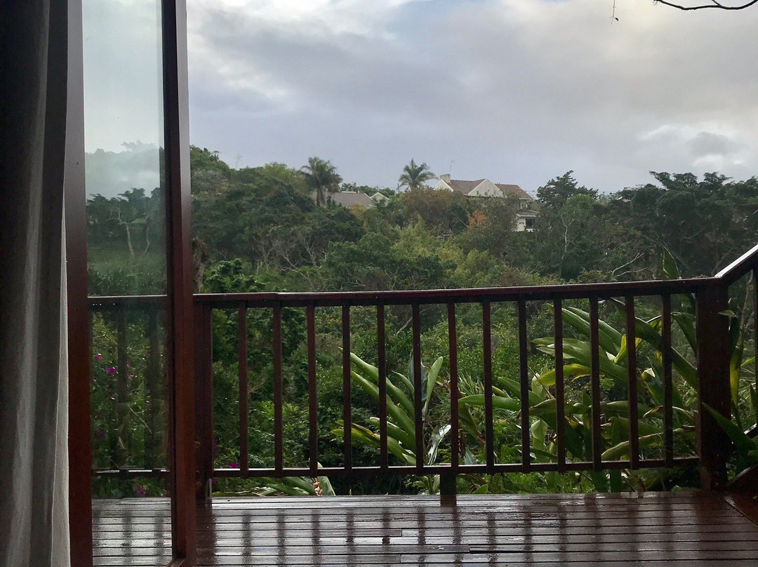 The Loerie Hide主图