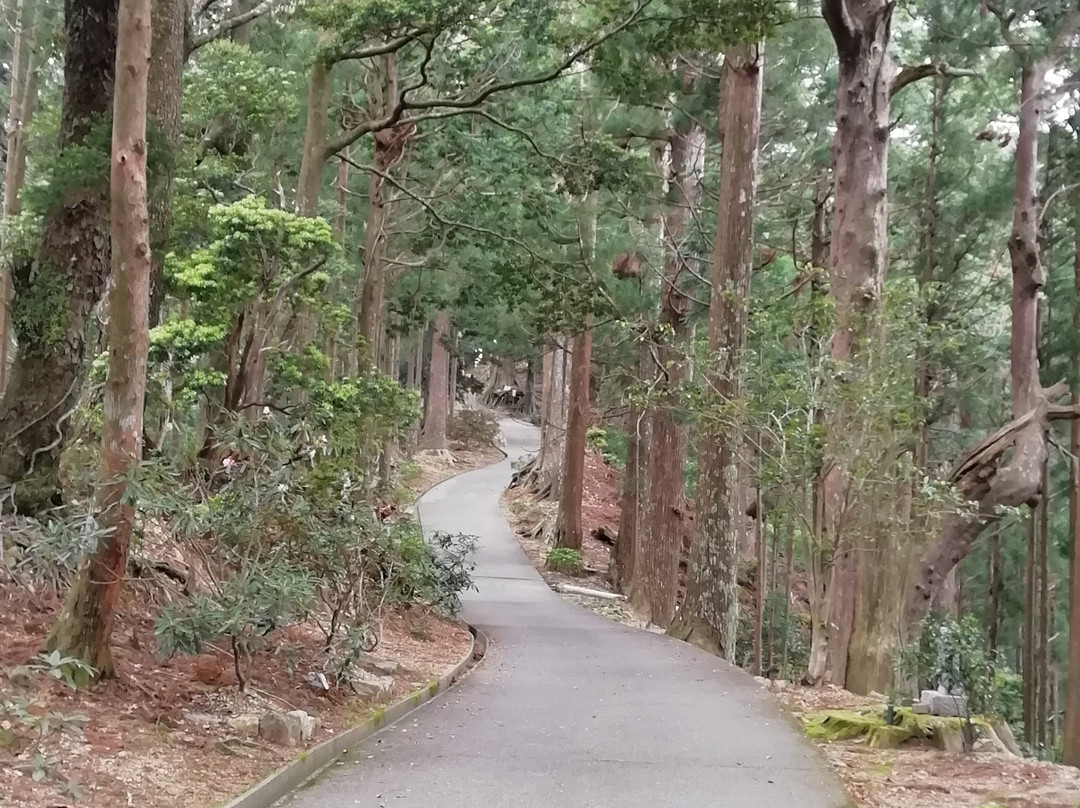 Tairyu-ji Temple  Niomon-阿南市必去景点