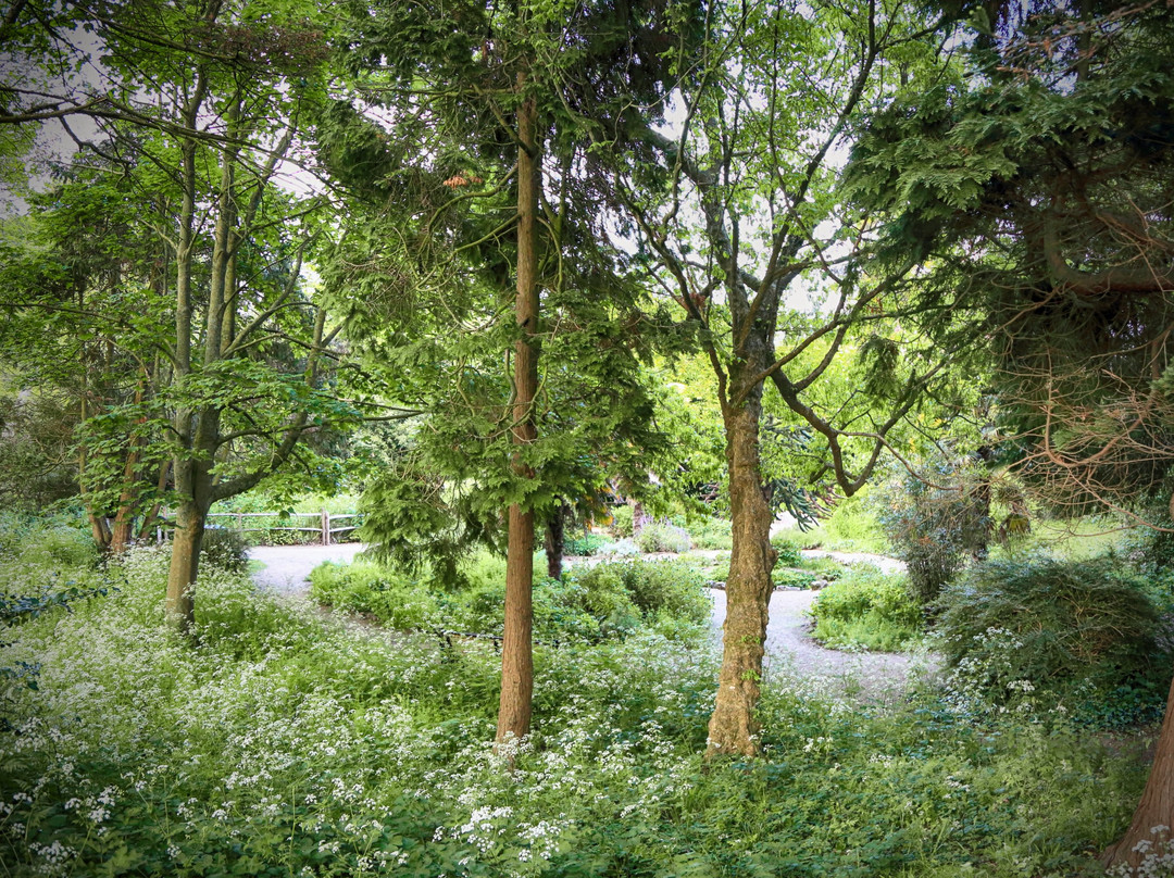 Hampden Park-伊斯特本必去景点