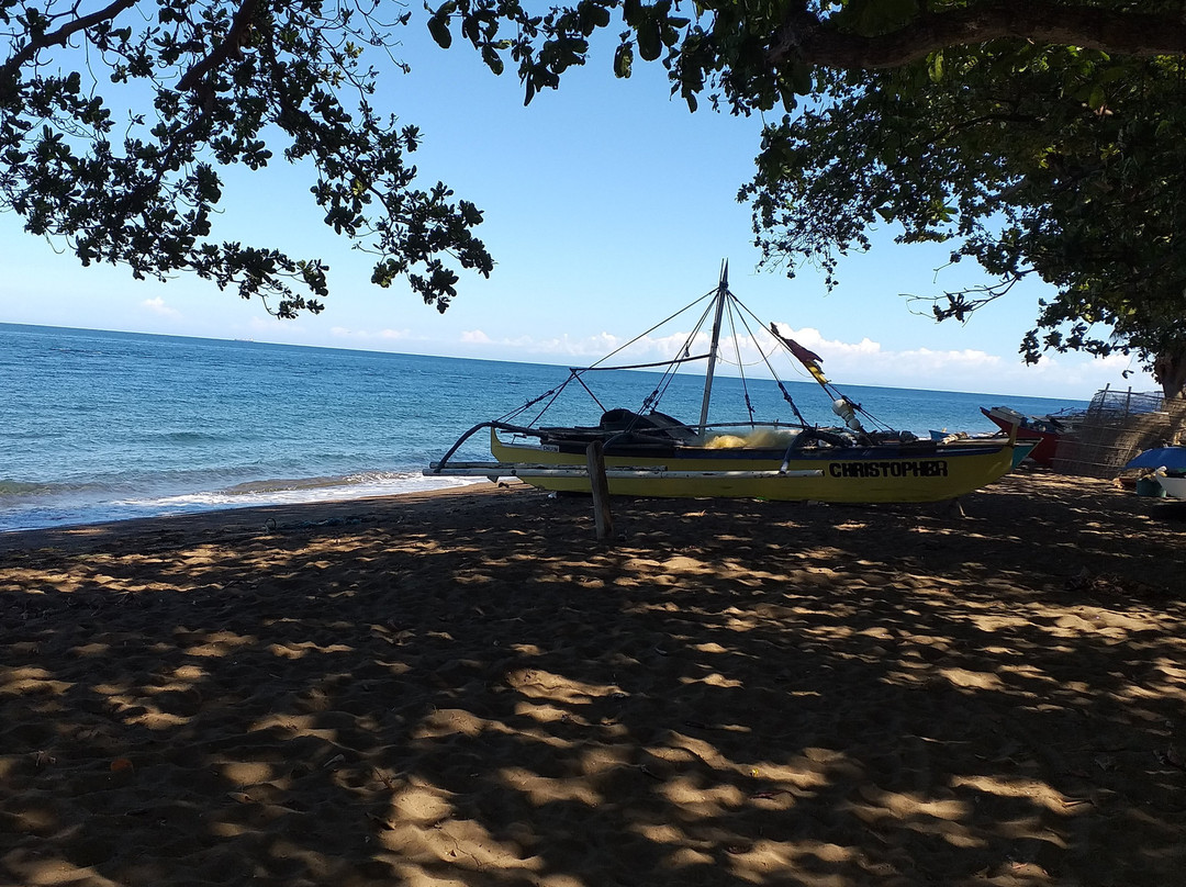 麦克道茵海滩度假村主图