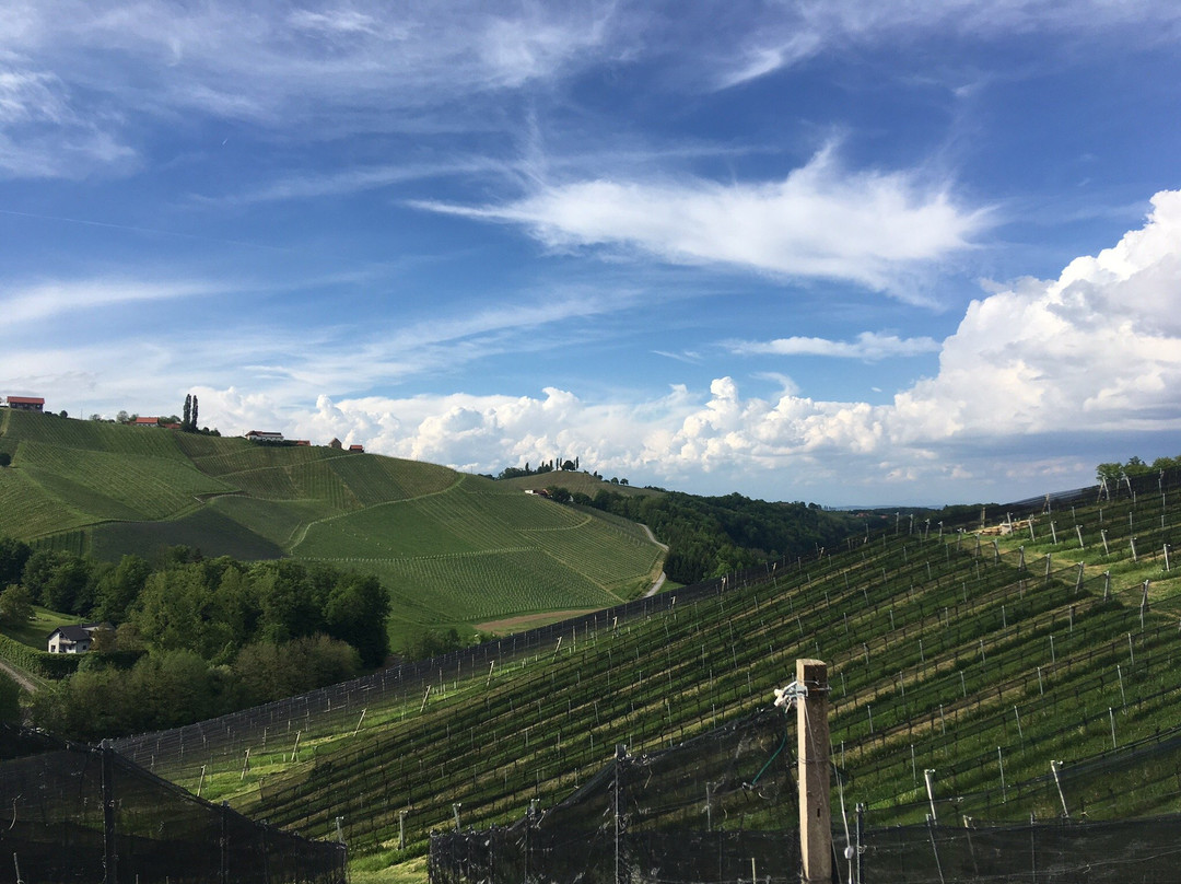 Gamlitz旅游景点-Weingut Karl & Gustav Strauss
