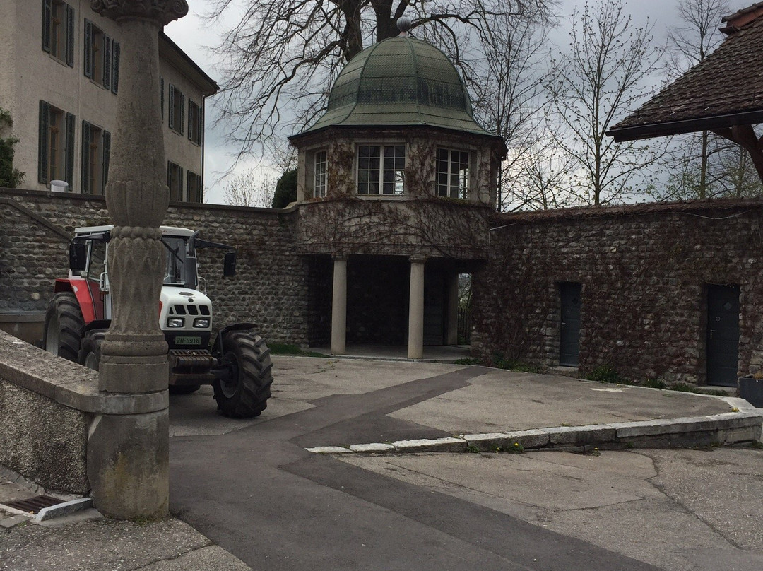 Schloss Uster-乌斯特必去景点