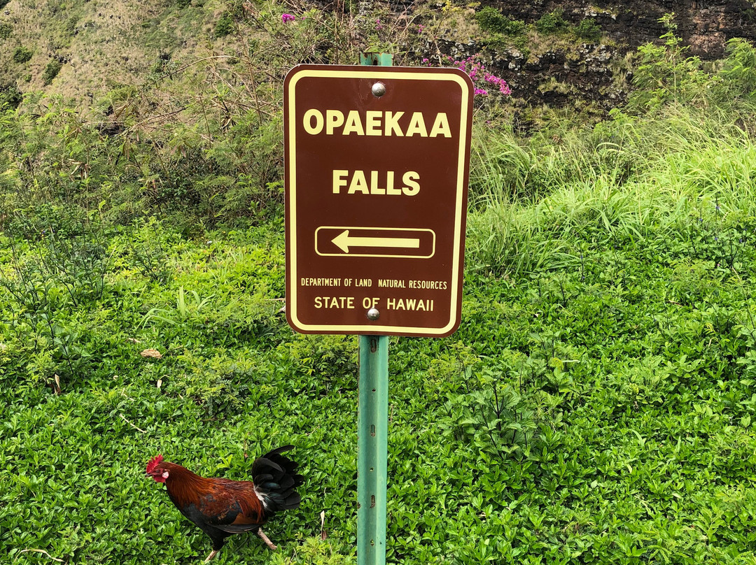 欧帕卡阿瀑布景点图片