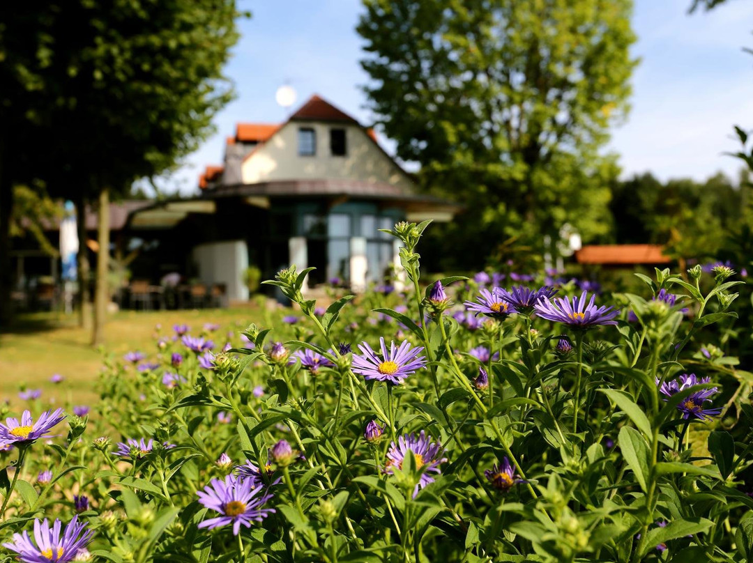 Oppach旅游攻略图片