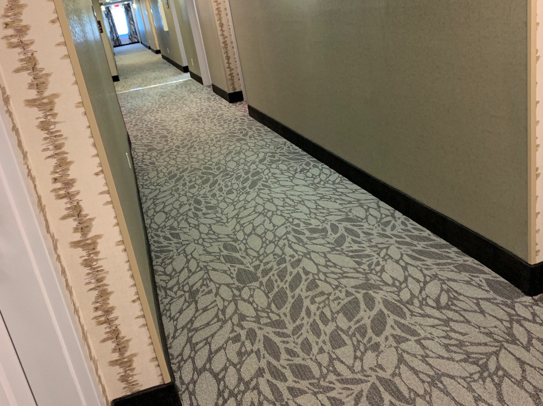 阿卡德尔菲亚希尔顿恒庭酒店主图